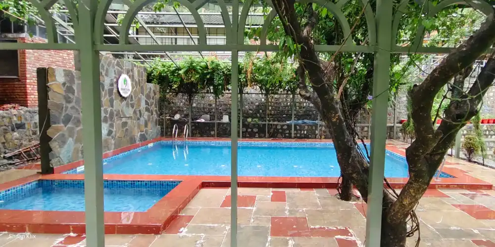 Pool Side Lawn